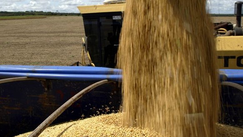 Vendas de soja 2022/23 do Brasil atingem 17,3% do total esperado, diz Safras