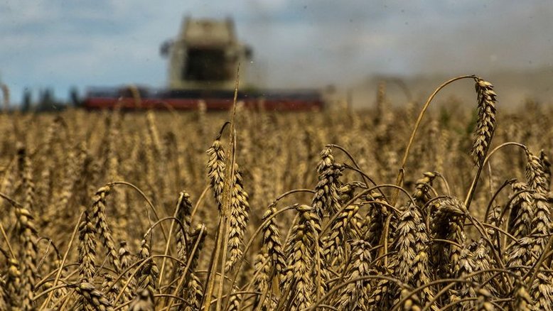 Grãos sobem em Chicago ante incerteza com safra dos EUA antes de relatório da USDA
