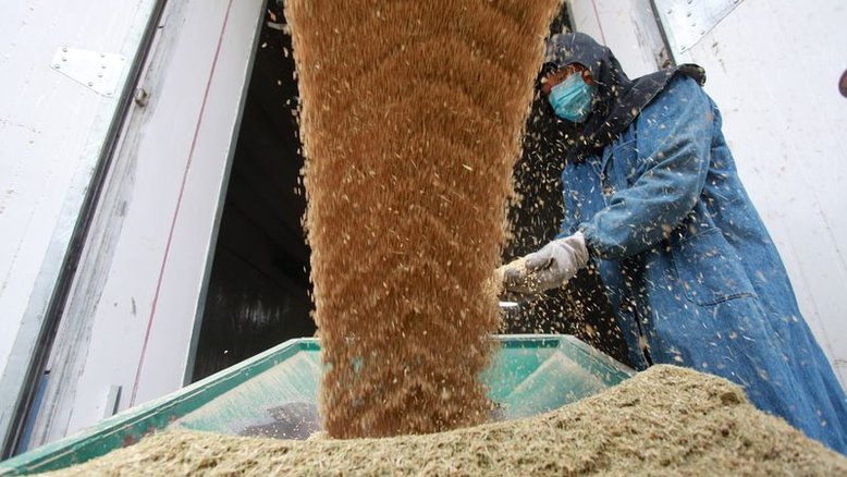 Sinograin e Cofco criam empresa para operar reservas de grãos da China
