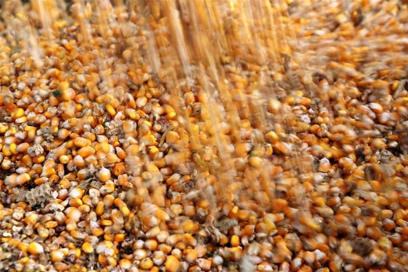 tagreuters.com2022binary_LYNXMPEI7H0KT-BASEIMAGE