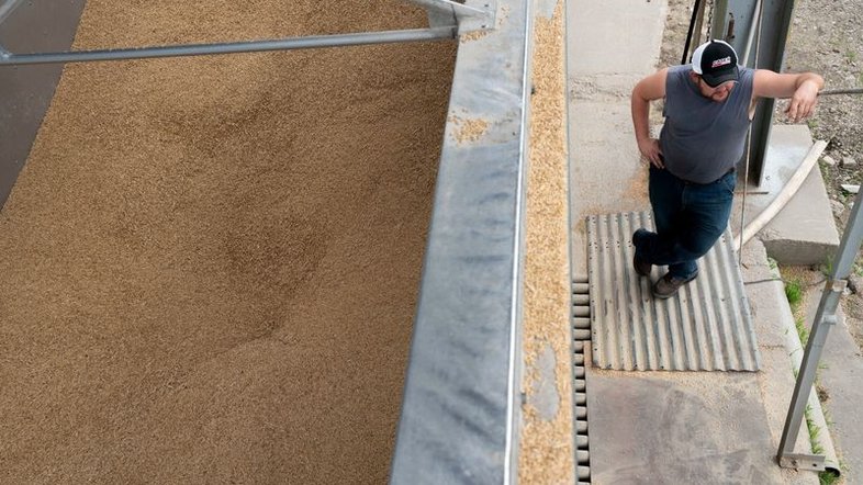 Soja e trigo sobem mais de 2% em Chicago; milho se firma