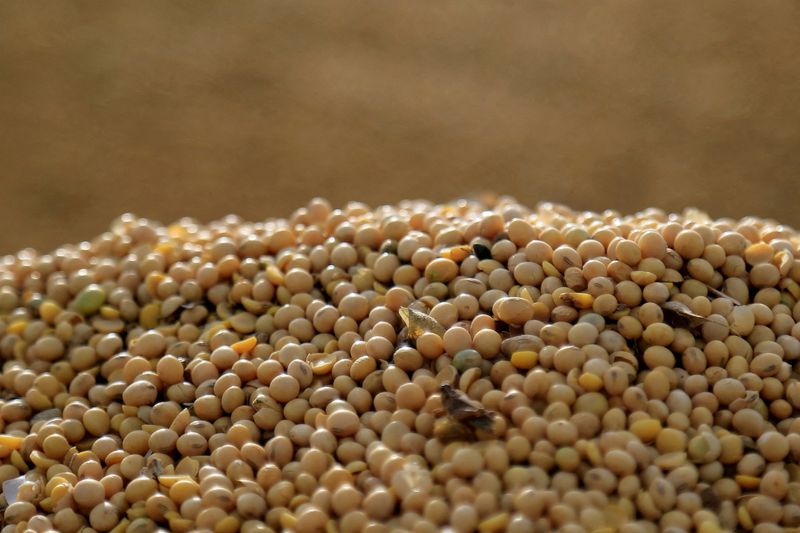 Vendas de soja pela Argentina continuam, mas devem desacelerar