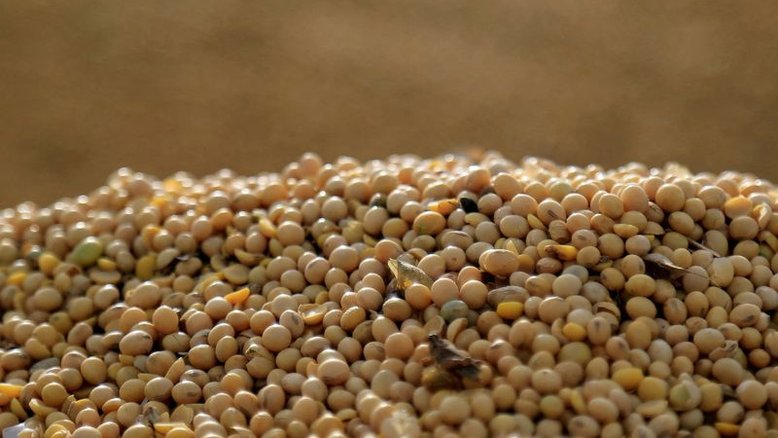 Vendas de soja pela Argentina continuam, mas devem desacelerar
