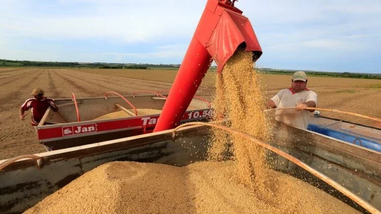Volume de fretes do agronegócio do Brasil cresceu 33,2% no 1º semestre, diz Fretebras