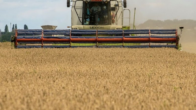 Exportação de trigo soft da UE atinge 8,8 mi t em 2022/23, importações de milho saltam