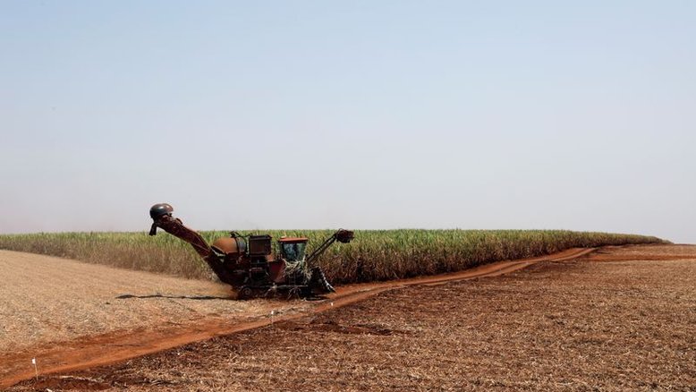 Moagem de cana e produção de etanol e açúcar saltam na quinzena
