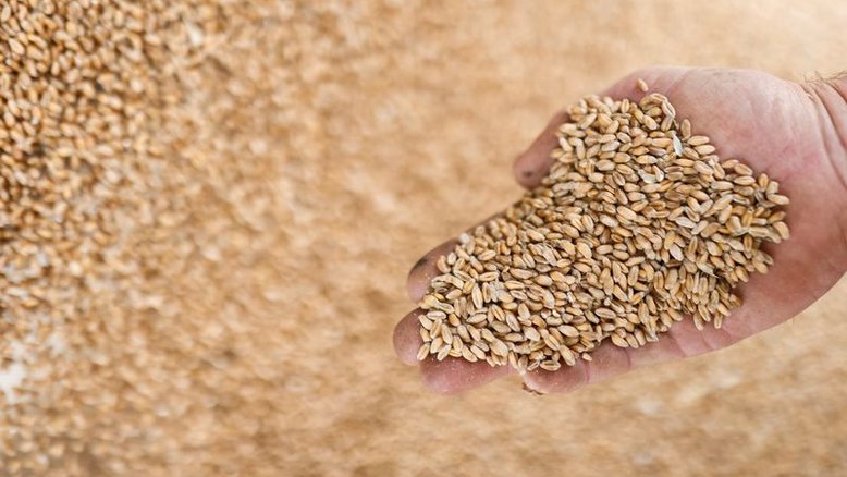 Bunge tem lucro acima do esperado e eleva projeção para o ano