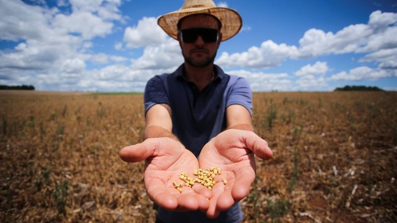 Lavouras do Rio Grande do Sul têm chuvas abaixo da média, alerta EarthDaily Agro