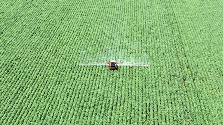 Clima limita avanço do plantio de soja no Centro-Oeste e traz ansiedade, diz AgRural
