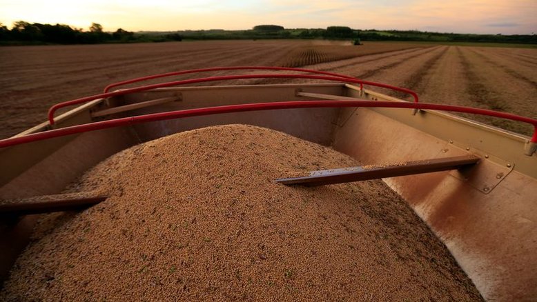 Bayer estima salto da soja Intacta2 Xtend para 10% da área do Brasil em 22/23