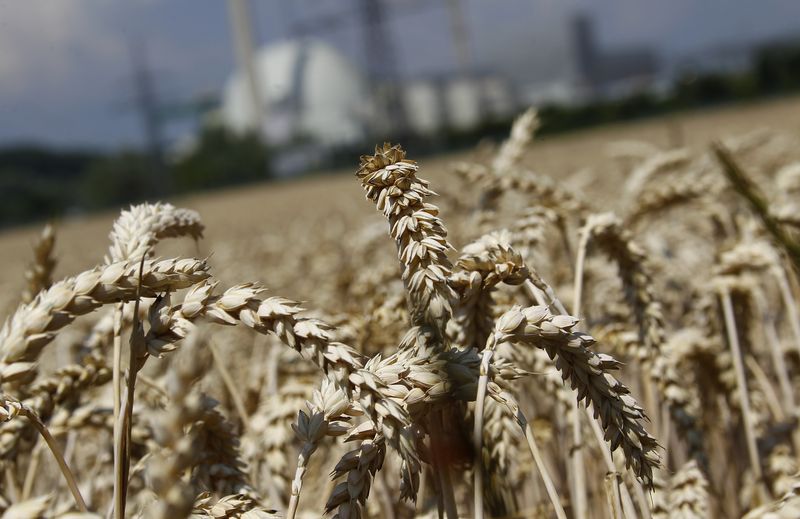 Exportações de trigo soft da UE 2022/23 sobem 10% no ano após salto semanal