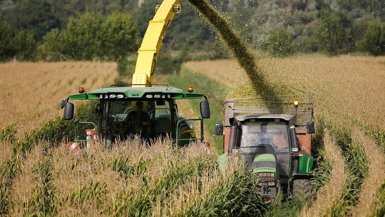 Strategie Grains espera área estável de grãos da UE para colheita de 2023