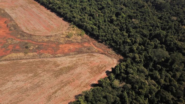 Desmatamento na Amazônia tem queda de 31% entre janeiro e maio