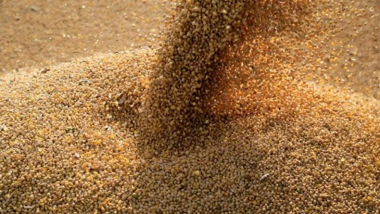 Agro mineiro faz jus a ótimo resultado de pesquisa