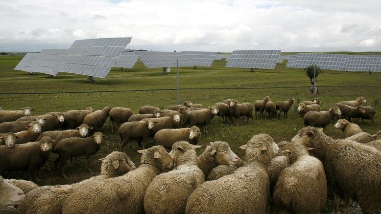 CORREÇÃO-Energia solar em terras arrendadas dá ganho extra a agricultor no Brasil