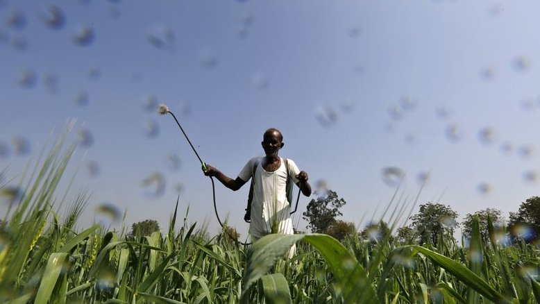 Rússia vira maior fornecedora de fertilizantes à Índia após elevar exportação com descontos