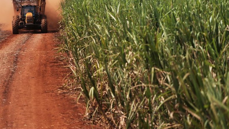 Moagem de cana do CS supera previsão na quinzena e quase tira defasagem na safra