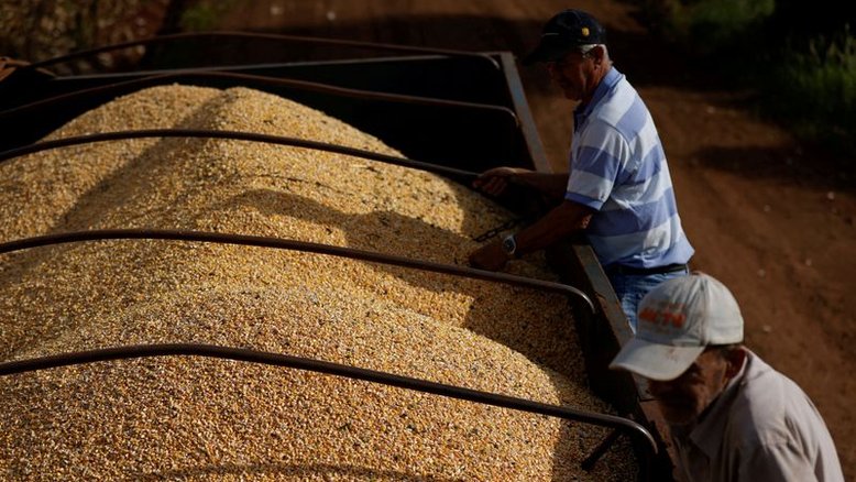 Anec reduz em quase 500 mil t previsão de exportação de milho do Brasil em novembro