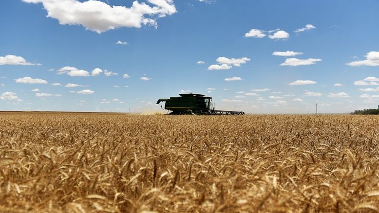 Emater-RS eleva previsão de safra gaúcha de trigo a 4,97 mi t; plantio de soja vai a 73%