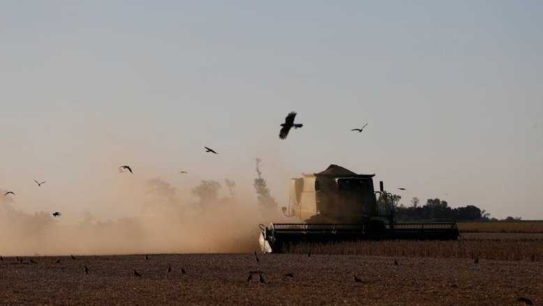 Seca atinge soja precoce em polo agrícola da Argentina; estiagem deve continuar