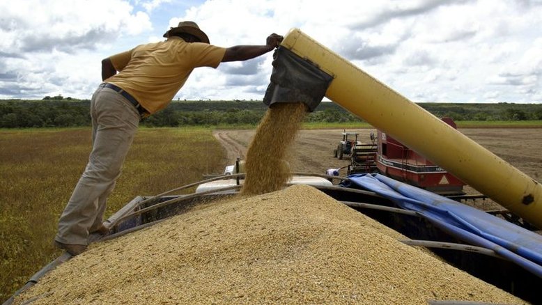 Mosaic lança no Brasil adubo que promete alta produtividade, vê retomada no mercado