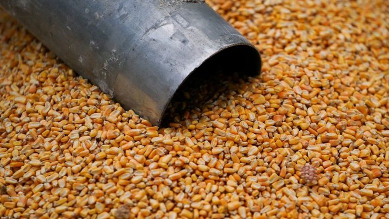 Coamo distribuirá R$ 220 mi em "sobras" antecipadas aos cooperados