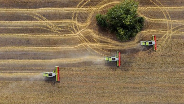Austrália prevê safra recorde de trigo apesar das enchentes