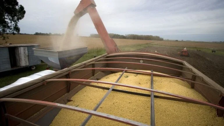 Soja cai com dados de estoques globais; exportação e América do Sul limitam perdas