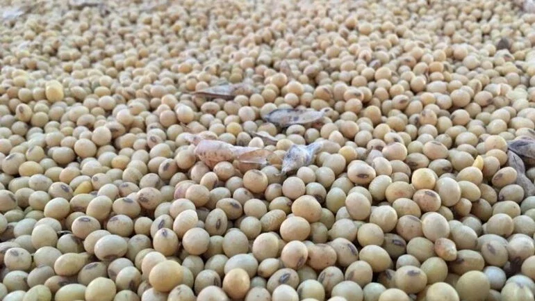 China permitirá negociantes estrangeiros em seus contratos futuros de farelo e soja