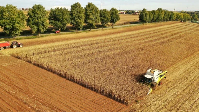 Governo eleva projeção do Valor Bruto da Produção Agropecuária em 2023 a R$ 1,256 tri