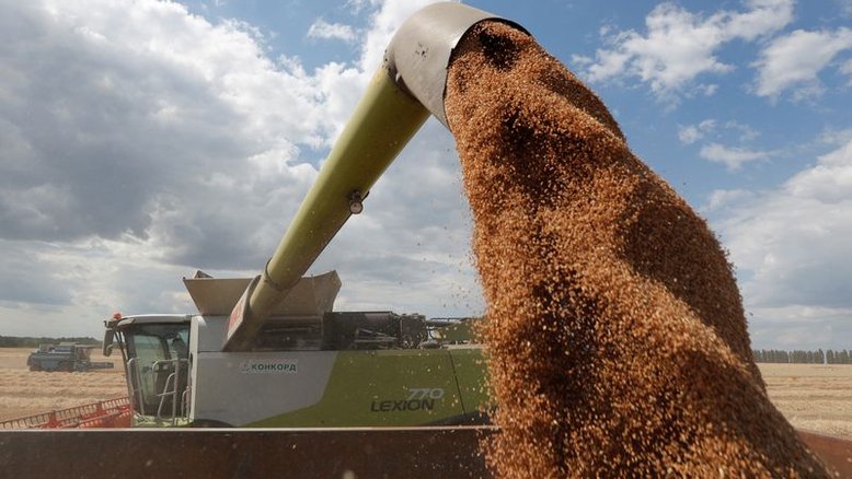 Exportações de grãos da Ucrânia caíram 31,5%, a 19,7 mi t, até agora em 2022/23