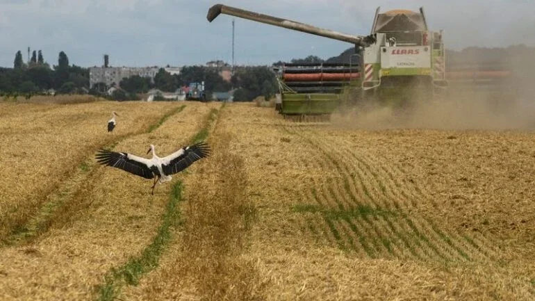 Ucrânia garantirá fornecimento de energia para instalações agrícolas importantes