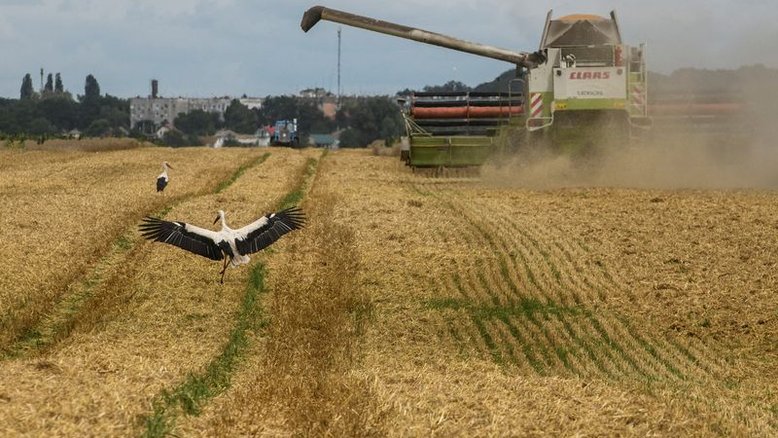 Ucrânia garantirá fornecimento de energia para instalações agrícolas importantes