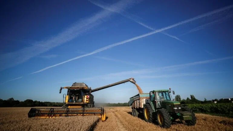 Exportações de trigo soft da UE avançam para 15,7 mi t na safra 2022/23