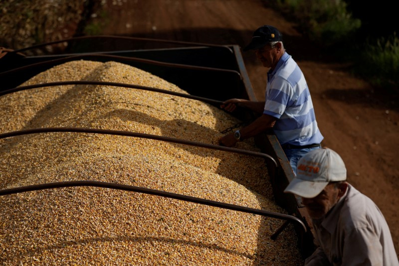 Exportação de milho e açúcar do Brasil já supera dezembro completo de 2021