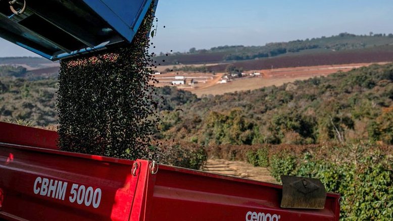 Exportação de café verde do Brasil cai 14,3% em fevereiro, diz Cecafé; guerra preocupa