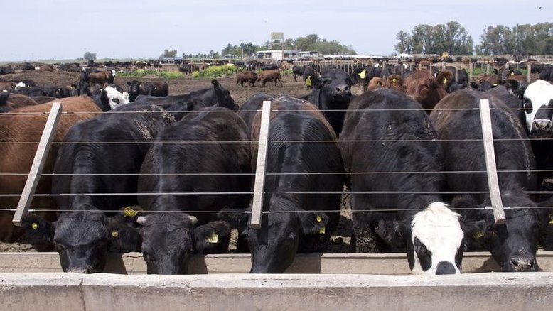 Governo da Argentina alerta setor de carne para ajudar na redução da inflação