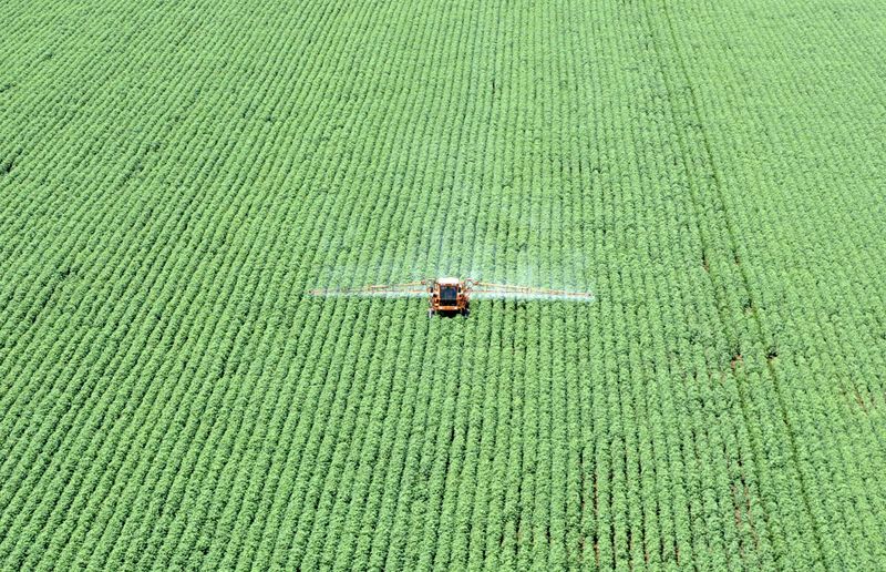 Brasil dá ‘tiro no pé’ ao reduzir taxa de fertilizante importado, diz associação
