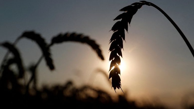 Ministro da Agricultura da Ucrânia renuncia