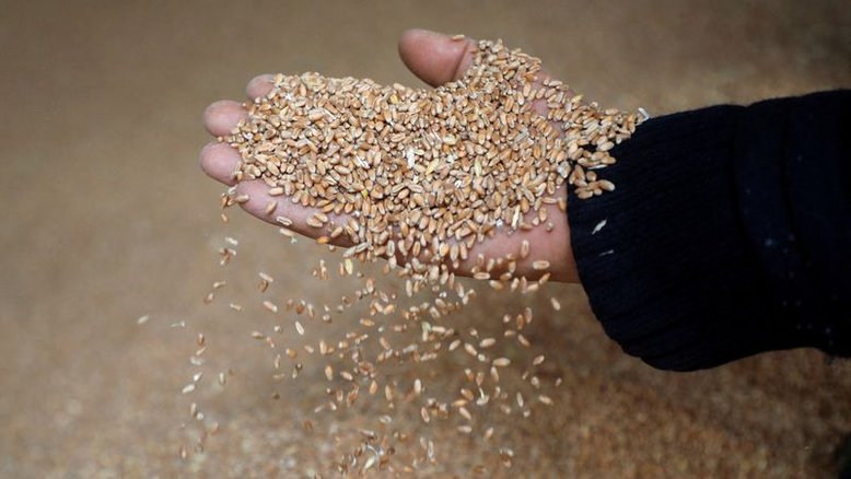 Soja recua em Chicago e segue quedas nas commodities; trigo e milho acompanham
