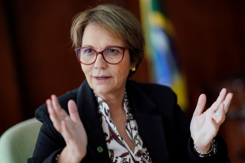 Bolsonaristas apostam em Marinho ou Tereza Cristina para Presidência do Senado