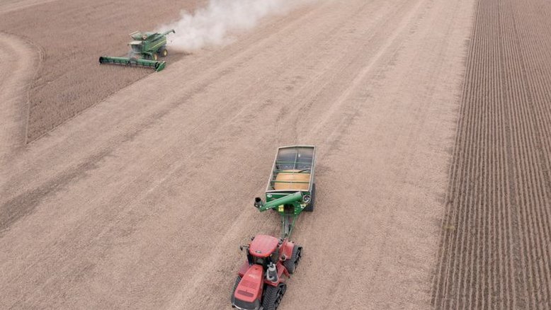Colheita de soja chega a 34% da área no RS, diz Emater; chuva afeta trabalhos