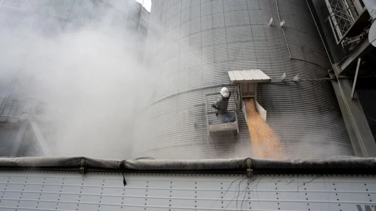 Perspectiva de oferta de trigo dos EUA aumenta com queda de exportações, diz USDA