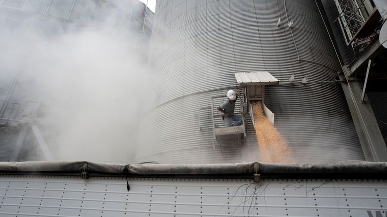 Perspectiva de oferta de trigo dos EUA aumenta com queda de exportações, diz USDA