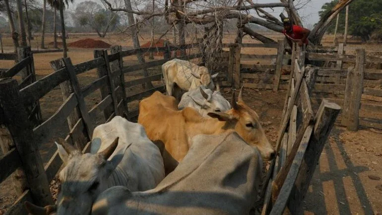 Exportação de carne bovina do Brasil supera 200 mil t em março e bate recorde