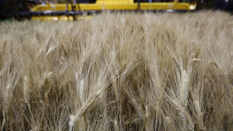 Trigo atinge máxima de contrato em Paris com preocupações sobre a guerra