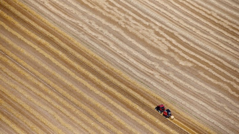 Marrocos deve expandir estoques de trigo após perdas na safra