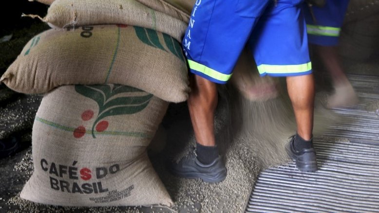 Exportação de café do Brasil cai em março com maior demanda interna por canéforas