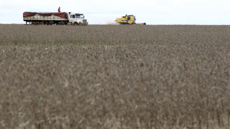 Adido do USDA vê safra de soja do Brasil 2022/23 em 139 mi t