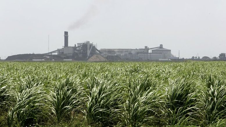 Açúcar bruto fecha em baixa após avançar para perto de máxima de 5 meses na ICE